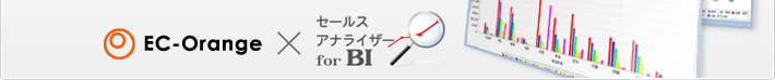 セールスアナライザー for BI